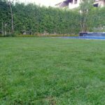 نجيل طبيعيصناعي بدائل طبيعية